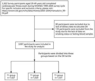 The association between the dietary inflammatory index and cardiorespiratory fitness in United States young adults: a cross-sectional study from the National Health and Nutrition Examination Study, 1999–2004